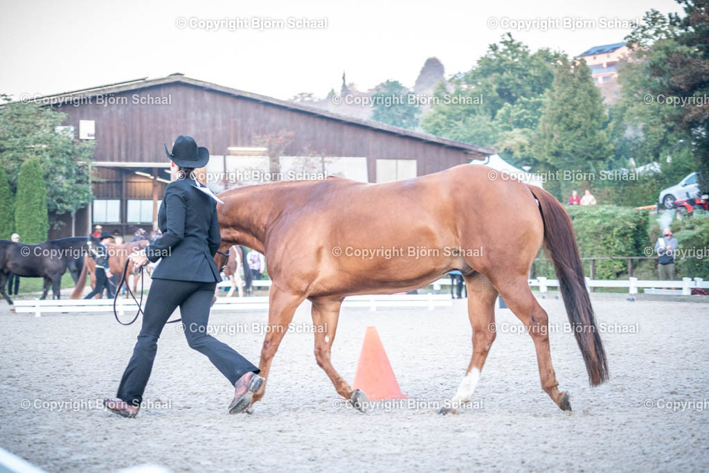 KBB08558 | BS-foto