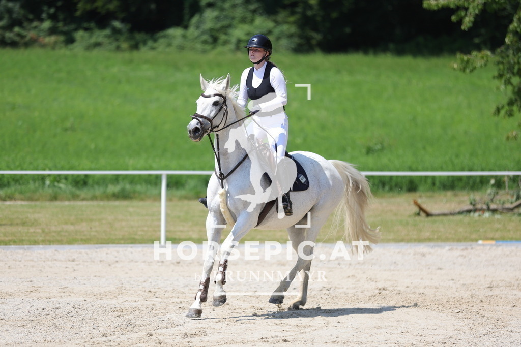 0P6A9341 | Willkommen bei Brunnmayr - Design & Fotografie – Ihrem Spezialisten für Reitturniere und Pferdeveranstaltungen in Oberösterreich, Salzburg und Bayern! Seit über 17 Jahren sind wir leidenschaftlich dabei.