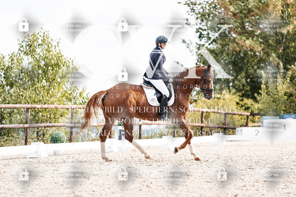 CK901875 | Turnierfotografie Pferdefotografie Trier Rheinland-Pfalz Pferdesport Reitsport Tierfotografie Sportfotografie Pferdevideo Pferdevideografie Equestrianvideography equestrianphotography  - Realisiert mit Pictrs.com