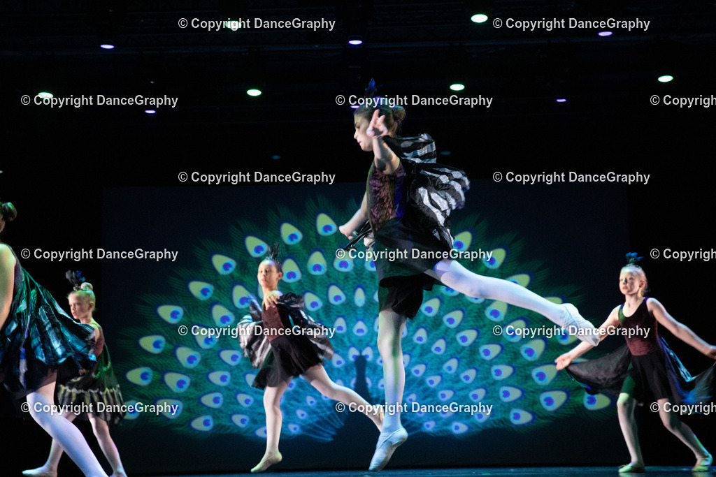 GPHY6168 | DanceGraphy - Realisiert mit Pictrs.com