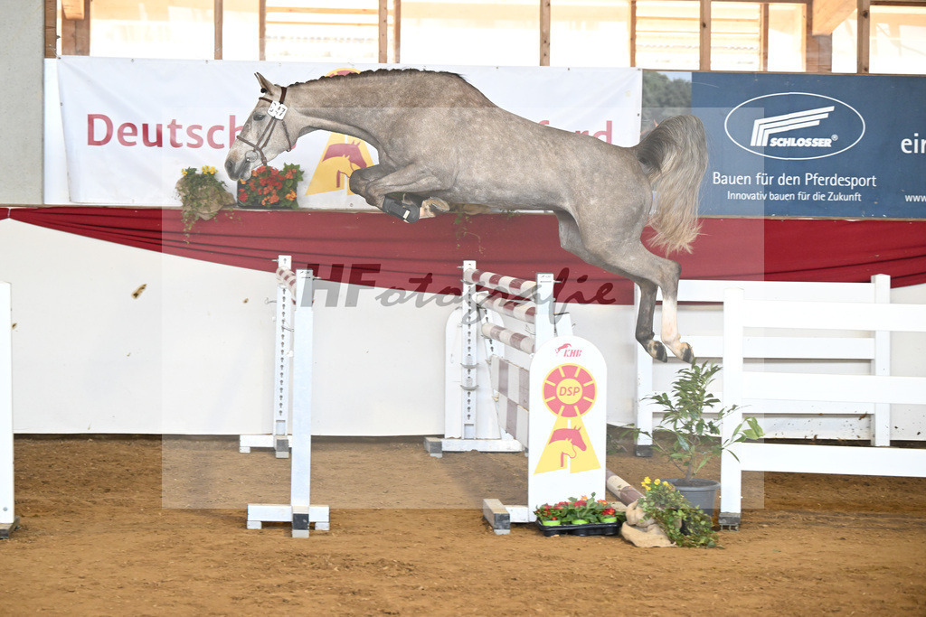 Kat-Nr. 47 Signorita v. Mattias_Lindner_16251102 | hf-fotografie - Realizzato con Pictrs.com