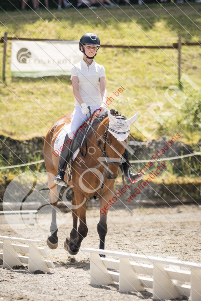 IMG_4674 | Sport-, Event- und Tierfotos in Profiqualität. Einfach auswählen, bestellen und herunterladen. Dein Moment – perfekt festgehalten.