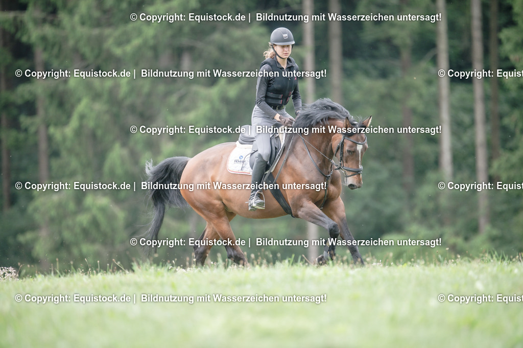 20250726_Vielseitigkeitslehrgang-Marbach_0670 | Foto: Thomas Hartig