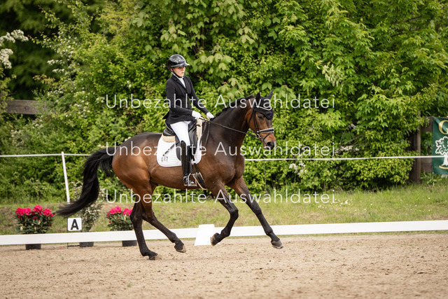 Bad_Meinberg_05420 | saradresslerfotografie - Realisiert mit Pictrs.com
