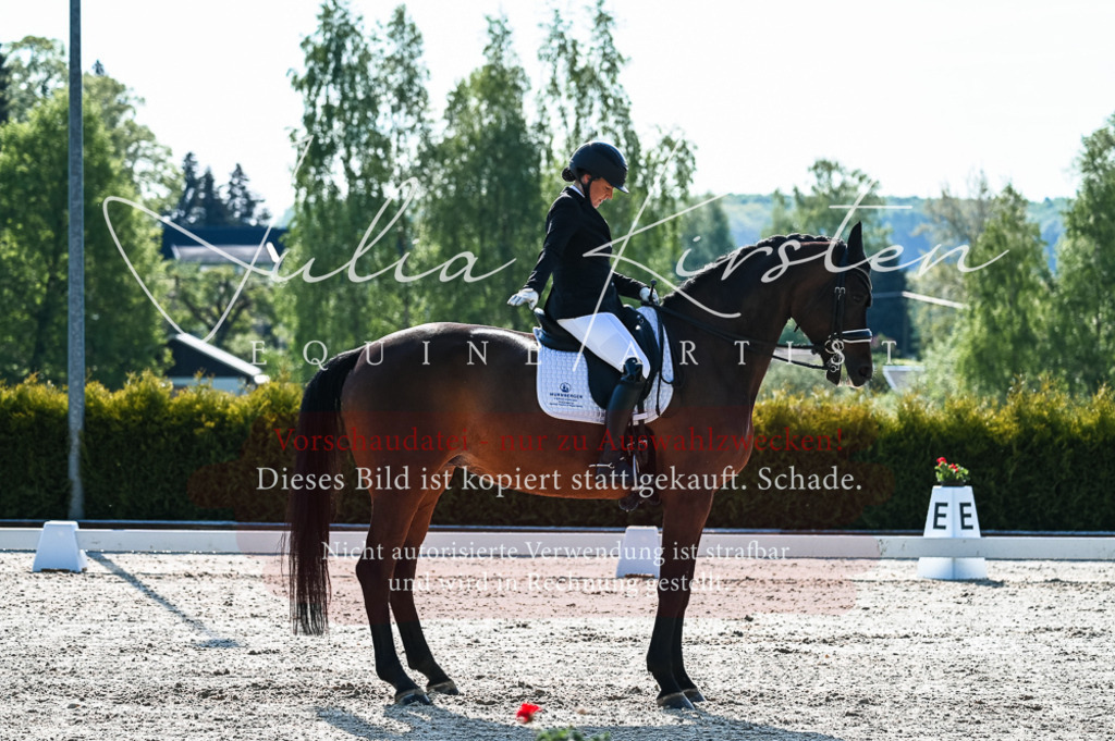 20230513_JK-Röhrsdorf-10-0105 | Pferde- und Turnierfotografie in Westsachsen. Pferdeportraits, Auftragszeichnungen und intuitive Kunst.