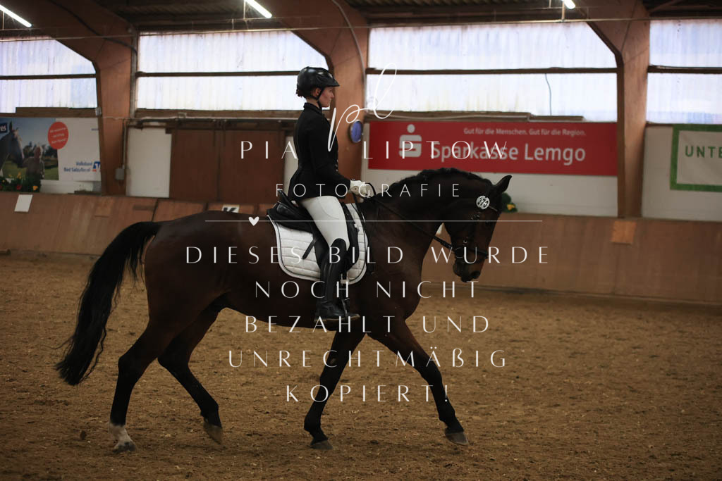 IMGT0938 | pl-fotografie