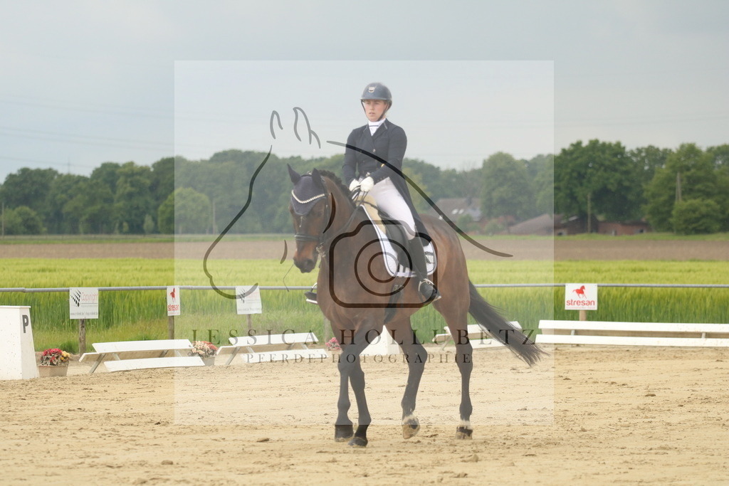 IMG_7956 | jessicahollubetz_pferdephotographie - Realisiert mit Pictrs.com