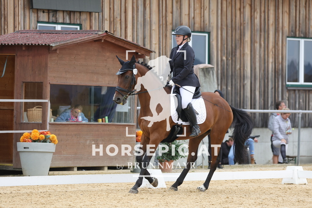 0P6A9061 | Willkommen bei Brunnmayr - Design & Fotografie – Ihrem Spezialisten für Reitturniere und Pferdeveranstaltungen in Oberösterreich, Salzburg und Bayern! Seit über 17 Jahren sind wir leidenschaftlich dabei.