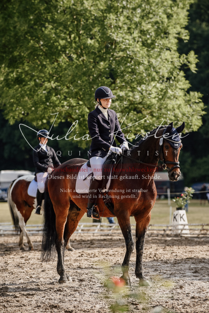 DSC_8716 | Pferde- und Turnierfotografie in Westsachsen. Pferdeportraits, Auftragszeichnungen und intuitive Kunst.
