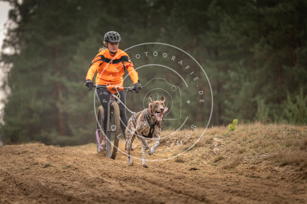 Pfotenfotografie_DV3A4834 | Hundefotografie, Tierfotograf, Pfotenfotografie, Fotoshooting Hund, Hunde Portrait, Hundesport, Hundeportraits, Heideshooting, Hunde, Sportfotograf, Hundefotograf, Turnierhundsport, THS,  - Realisiert mit Pictrs.com