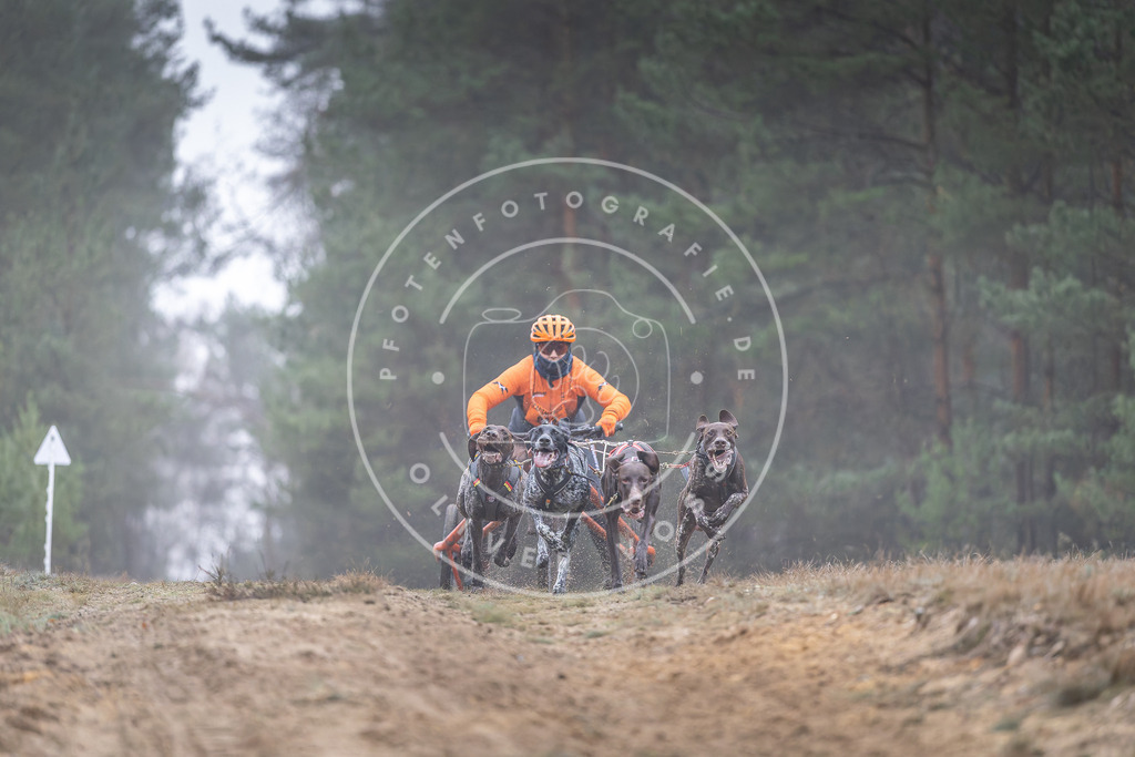 Pfotenfotografie_DV3A0296 | Hundefotografie, Tierfotograf, Pfotenfotografie, Fotoshooting Hund, Hunde Portrait, Hundesport, Hundeportraits, Heideshooting, Hunde, Sportfotograf, Hundefotograf, Turnierhundsport, THS,  - Realisiert mit Pictrs.com