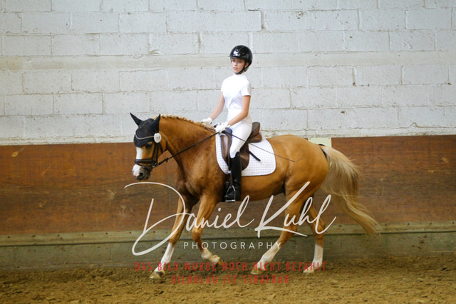 DKP44027 | Turniersportfotografie; Pferdefotografie; Dressurfotografie