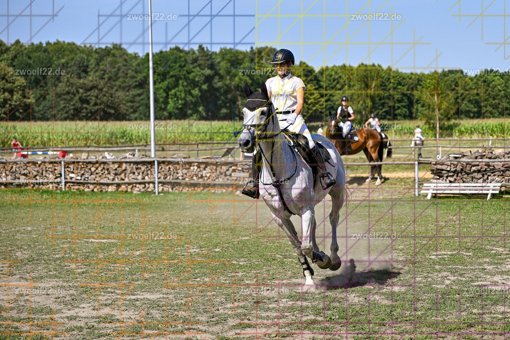 30 Jahre RFV Pulsnitz e.V., Pulsnitz am 09.08.2026 | Zur 28. breitensportlichen Veranstaltung des RFV Pulsnitz e.V. fanden verschiedene Wettbewerbe in nahezu allen Disziplinen des Pferdesport statt. - 06 Standard-Spring-Wettbewerb - Realisiert mit Pictrs.com