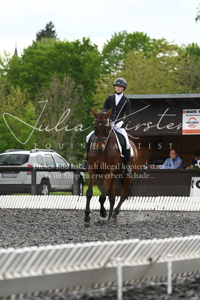 20230512_JK-Röhrsdorf-08-062 | Pferde- und Turnierfotografie in Westsachsen. Pferdeportraits, Auftragszeichnungen und intuitive Kunst.