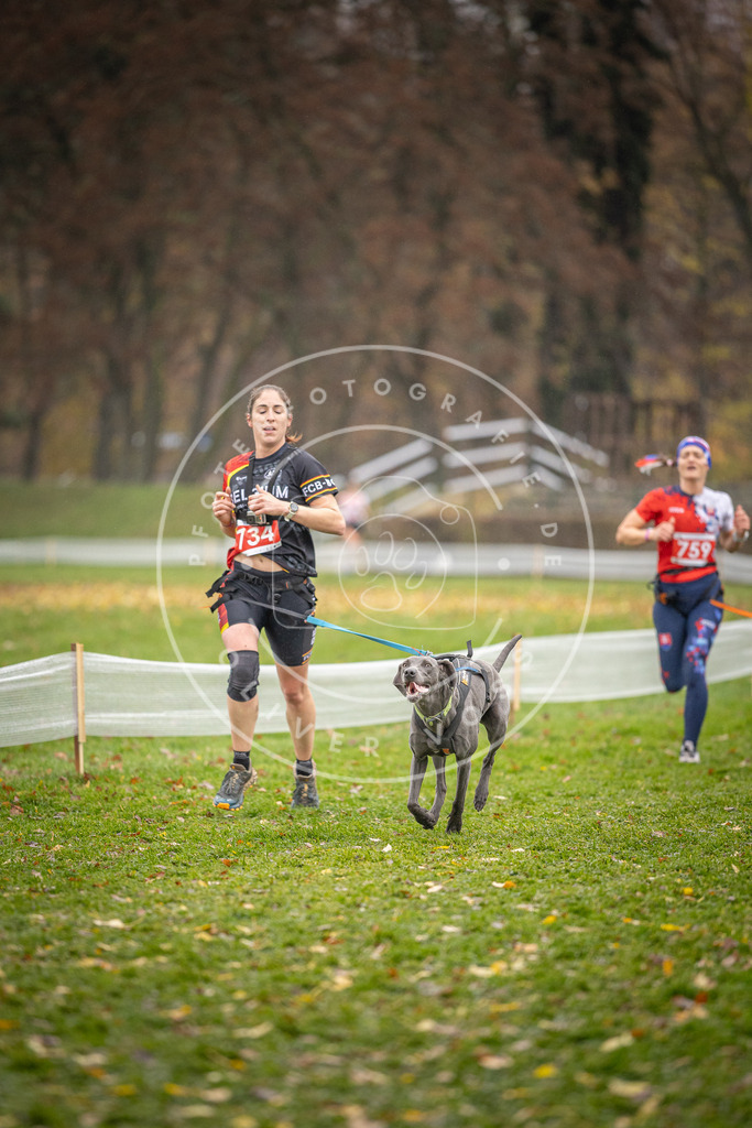 CaniXpix_DV3A9328 | Hundefotografie, Tierfotograf, Pfotenfotografie, Fotoshooting Hund, Hunde Portrait, Hundesport, Hundeportraits, Heideshooting, Hunde, Sportfotograf, Hundefotograf, Turnierhundsport, THS,  - Realisiert mit Pictrs.com