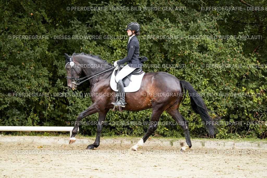 DSC03945 | Pferdegrafie