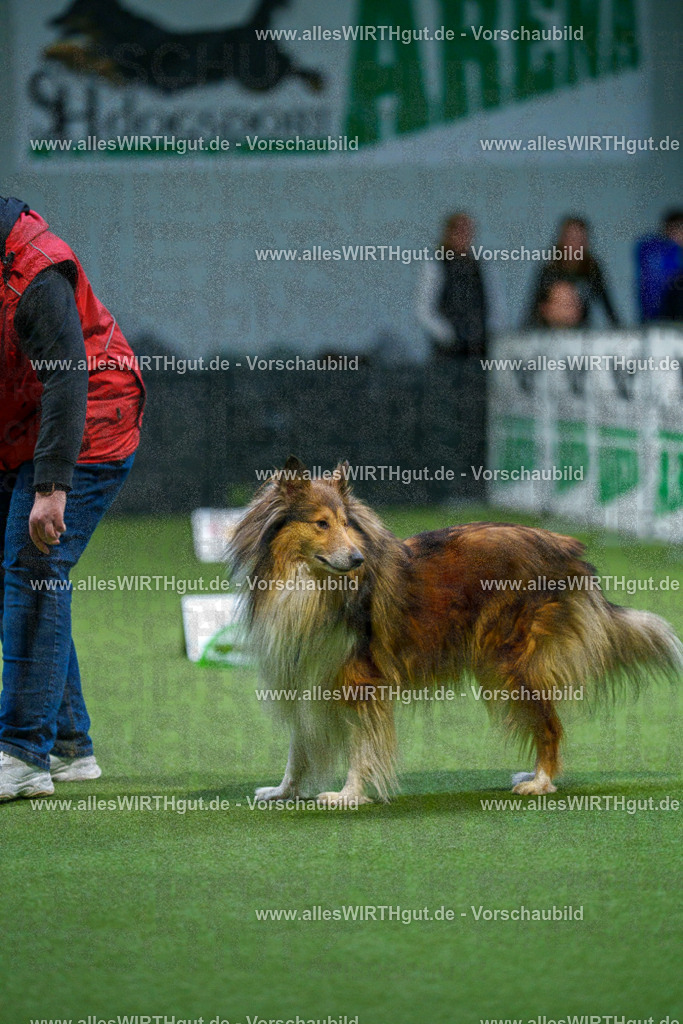 7R500450 | Professionelle Tierfotografie in Mönchengladbach von Daniel Wirth (allesWIRTHgut). Liebevolle & natürliche Bilder von Hunden & Katzen für unvergessliche Erinnerungen.