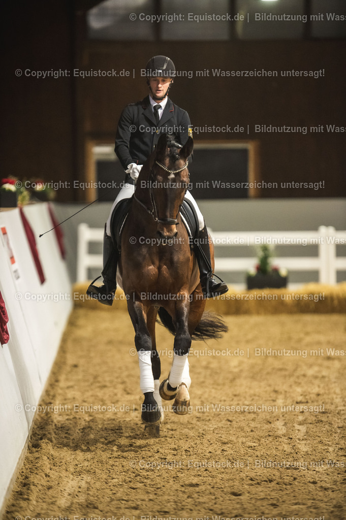20240302_Hengstvorstellung_Marbach_TOMsPiC_1224 | equistock
