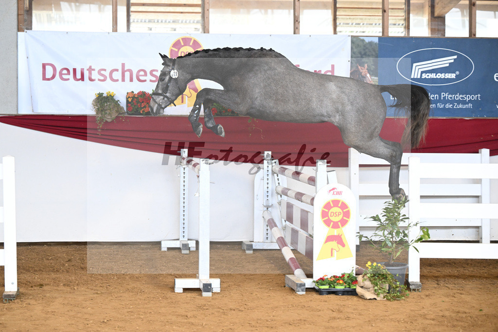 Kat-Nr. 21 Cleopatra v. Crack_Borst_16250672 | hf-fotografie - Realisiert mit Pictrs.com