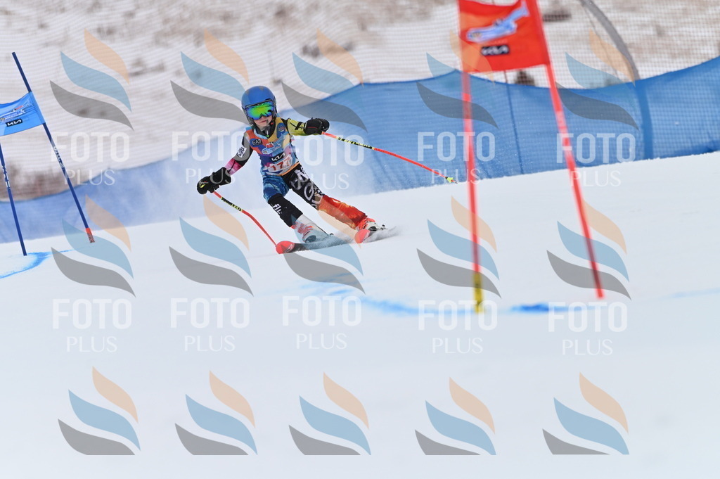 BGV_0938 | holidayphoto