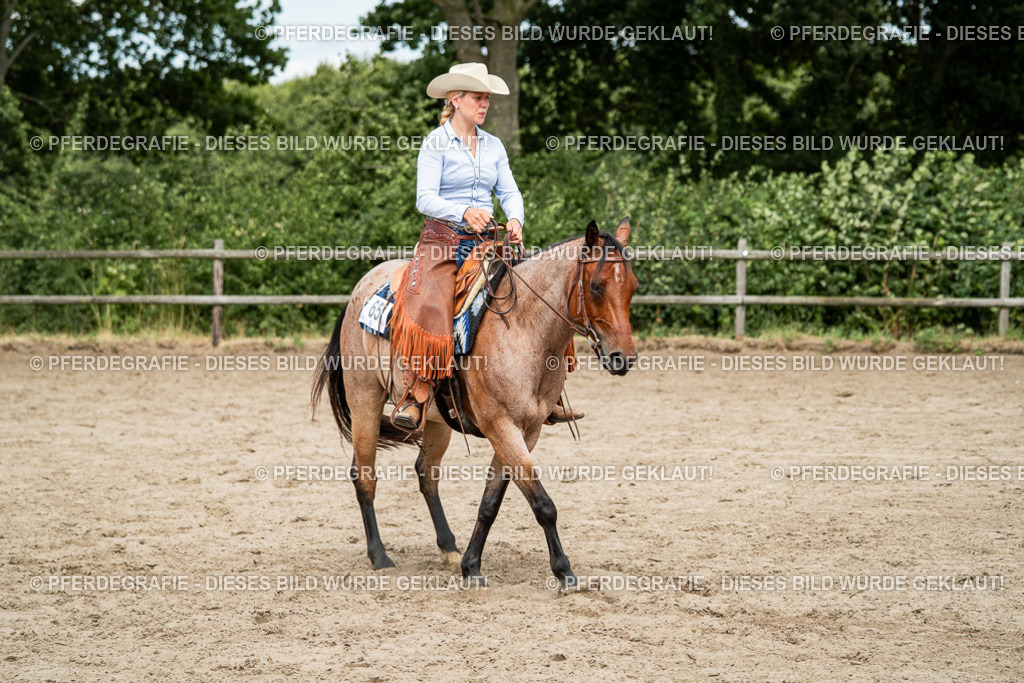 DSC01805 | Pferdegrafie