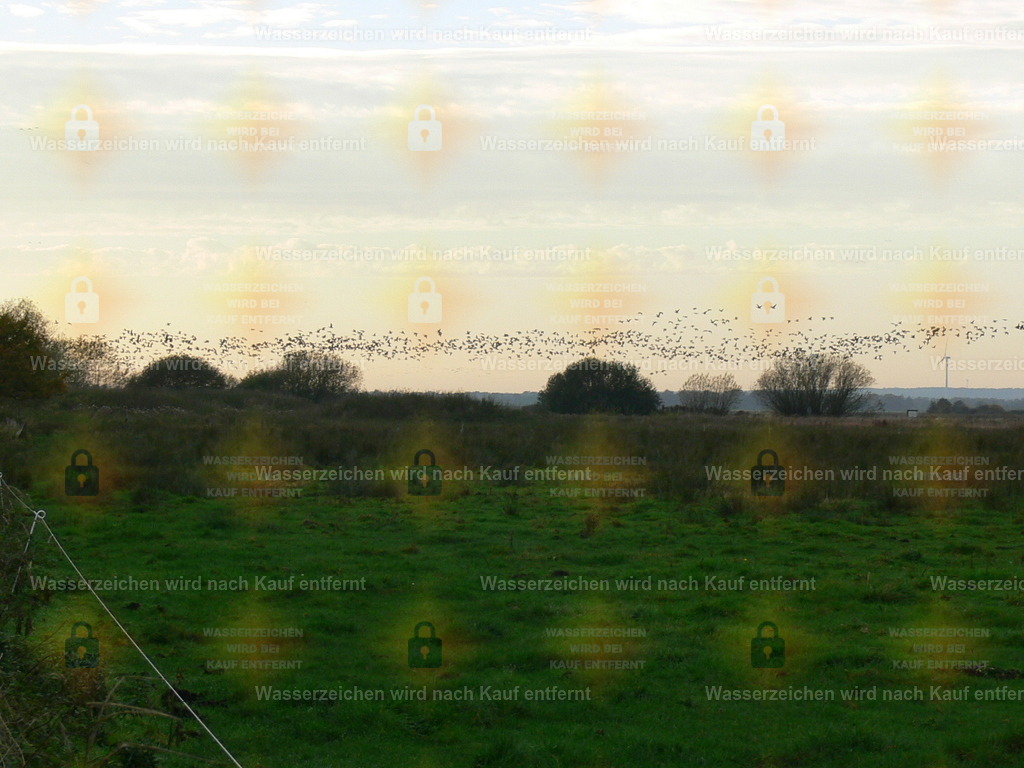 P1080457 | Fotoseite Wolkenblende - Das Hobby fotografieren begleitet mich schon  viele  Jahre. Auf den nächsten Seiten zeige ich ein paar Schnappschüsse der letzten Jahre und es kommen immer neue hinzu. Schau einfach mal rein. - Realisiert mit Pictrs.com