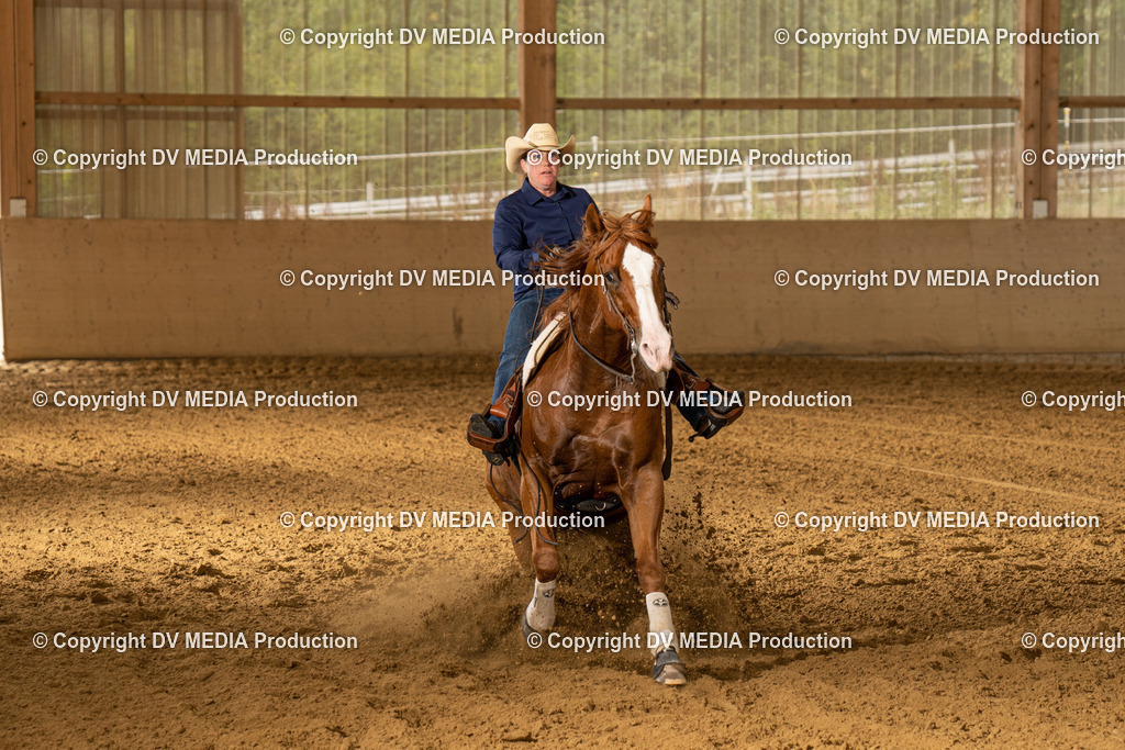 LAU01513 | dv-media-shop - Realisiert mit Pictrs.com