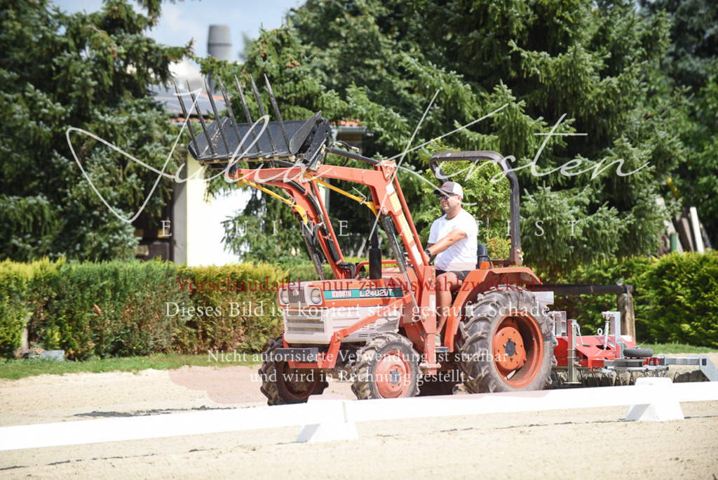 DSC_8984 | Pferde- und Turnierfotografie in Westsachsen. Pferdeportraits, Auftragszeichnungen und intuitive Kunst.