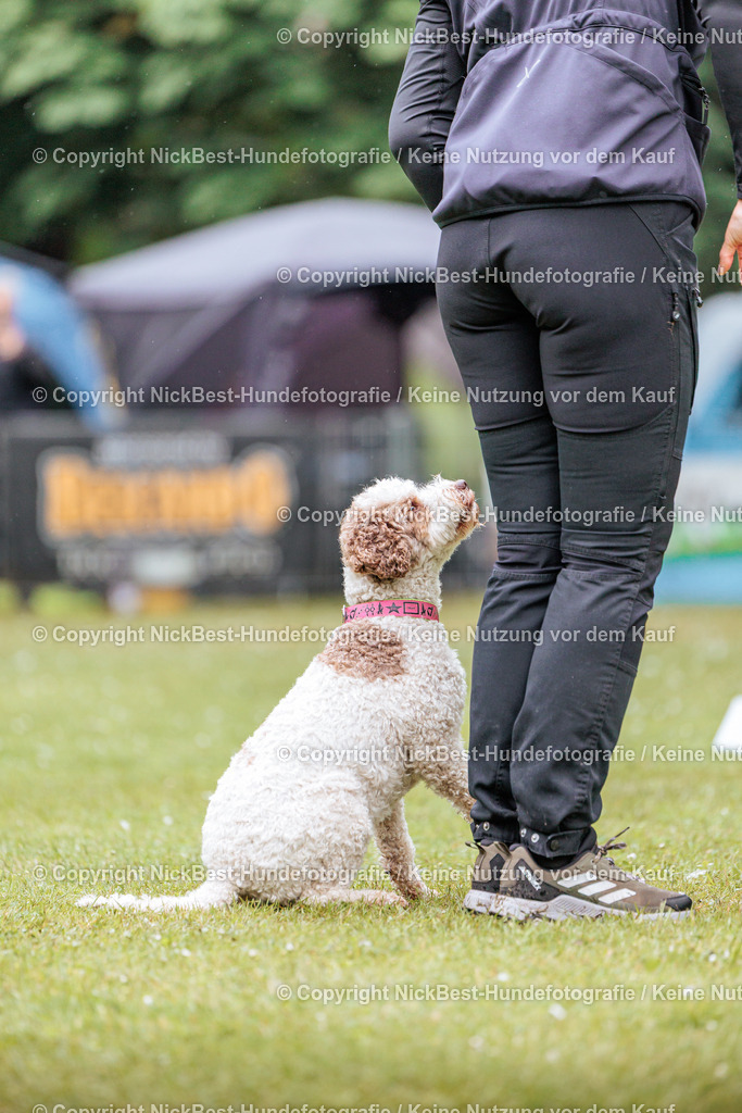 RO-Blumenthal-2026-Nickbest-Hundefotografie-3637 | Dein Hund! Dein Moment! Deine Erinnerungen! Hundefotografie in Bremen Blumenthal. Ich fange die besonderen Momente deines Vierbeiners ein – ob Indoor mit Blitzanlage oder in der freien Natur. Sicher dir dein Moment und dein Termin für eure Erinnerungen.