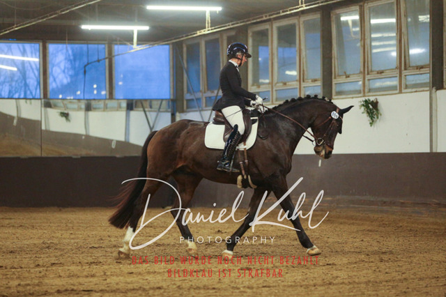 IMG_6903 | Turniersportfotografie; Pferdefotografie; Dressurfotografie