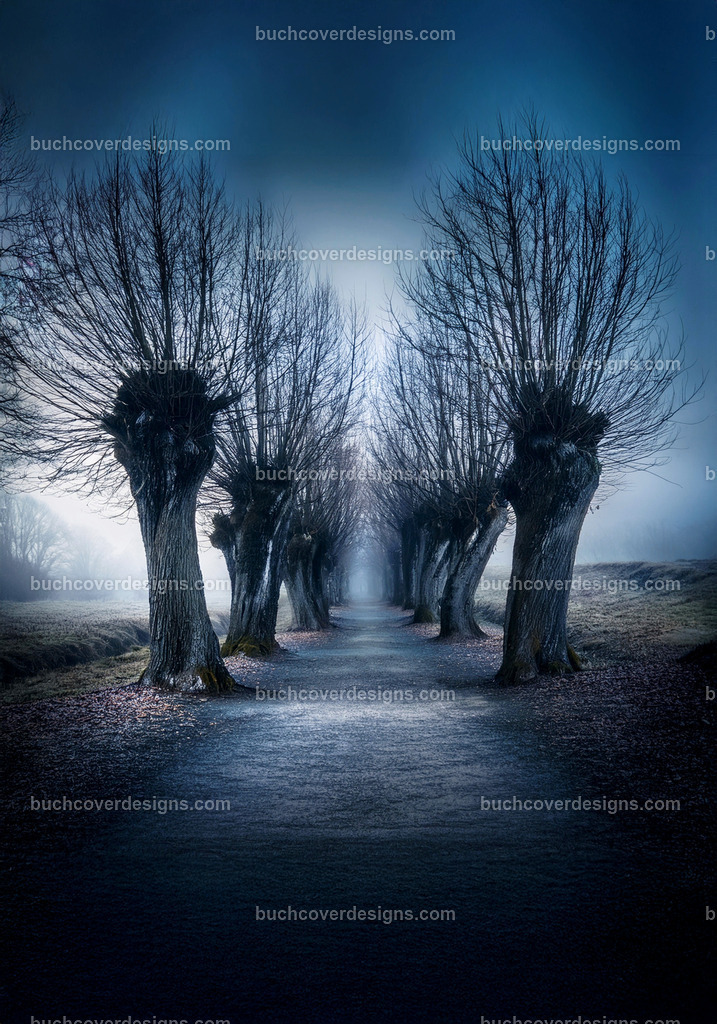 Baumen weg Corridor  (1) | Entdecken Sie kreative Buch Cover Designs für Self-Publishing-Autoren und Verlage! Unsere maßgeschneiderten Designs ziehen Leser an und bringen Ihre Geschichten visuell zum Leben. Lassen Sie uns Ihr perfektes Cover gestalten!