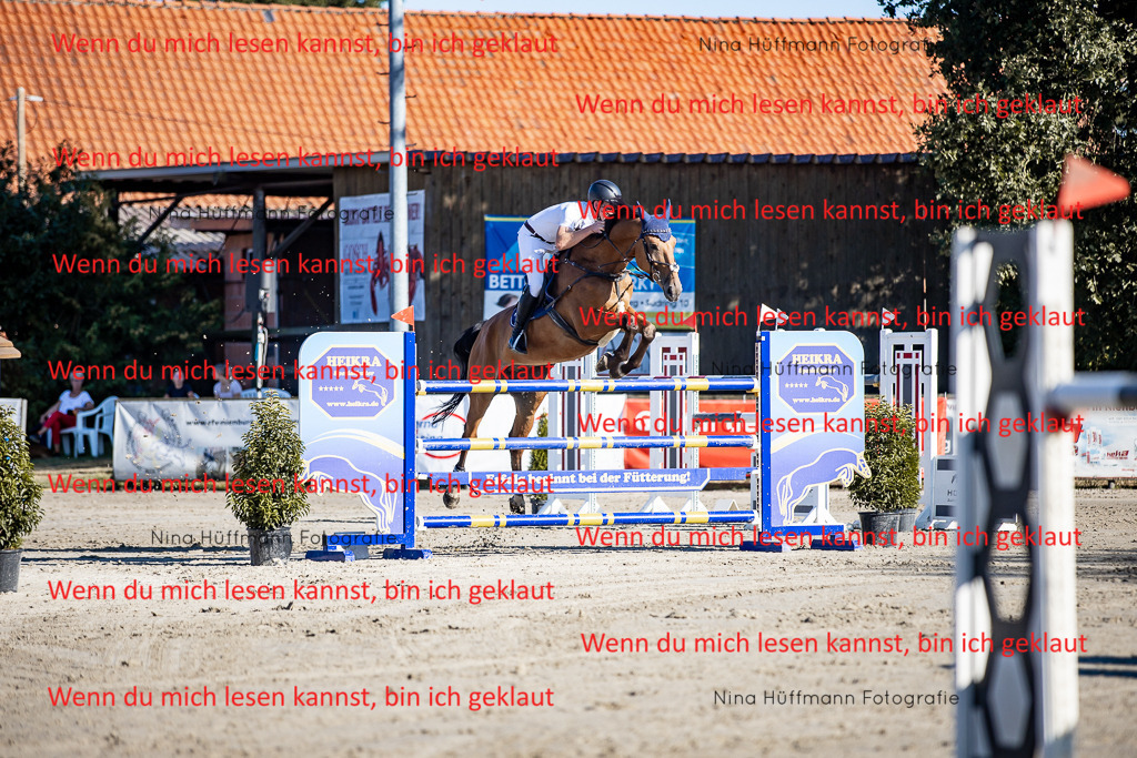 BK1A8174 | Turnierbilder Turnierfotos Nina Hüffmann Turnierfotografie Pferdefotografie Tierzeichnung Haustierzeichnung Pferdezeichnung Hundezeichnung Videograf  - Realisiert mit Pictrs.com
