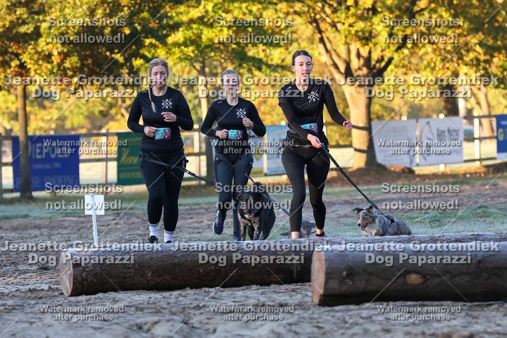 Dog Paparazzi - Strongdog 10-25-384 | Dog Paparazzi Jeanette Grottendiek Fotografie & Videografie - Realisiert mit Pictrs.com