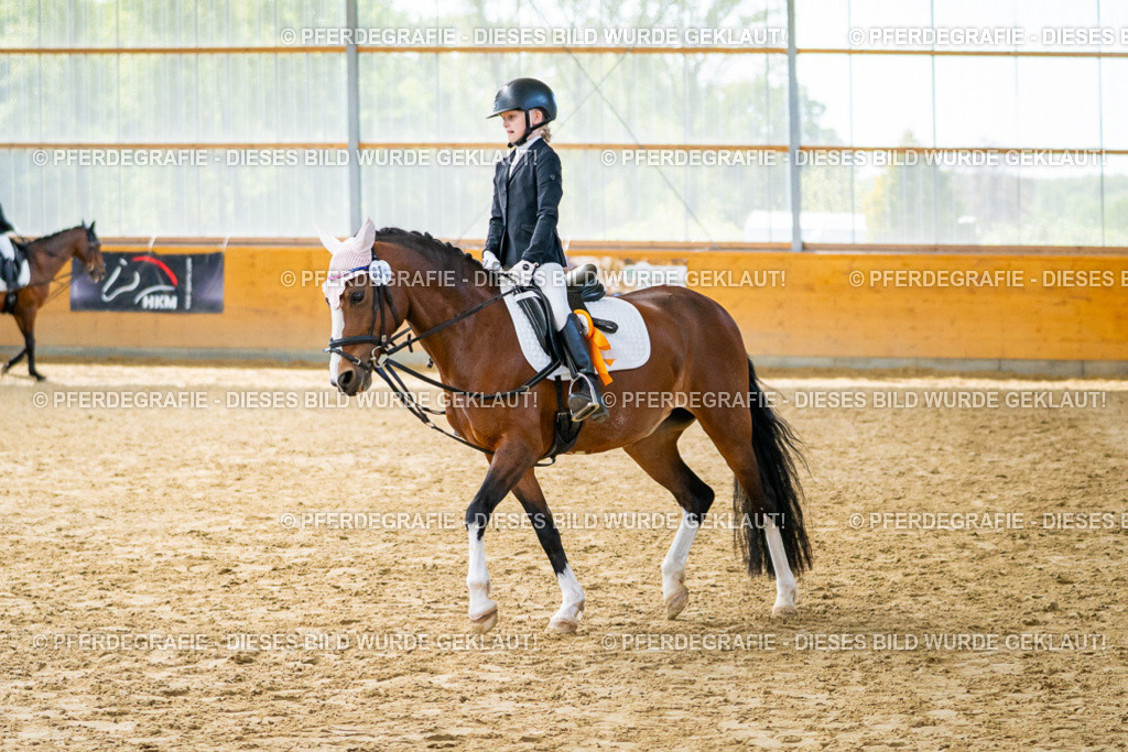 DSC01209 | Pferdegrafie