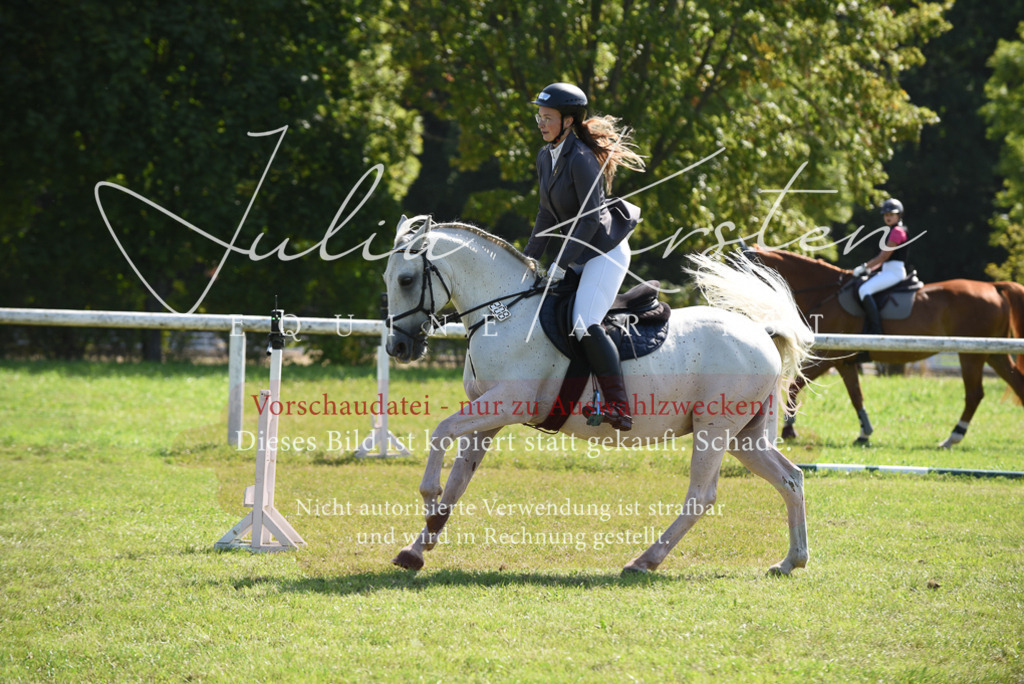 DSC_9157 | Pferde- und Turnierfotografie in Westsachsen. Pferdeportraits, Auftragszeichnungen und intuitive Kunst.