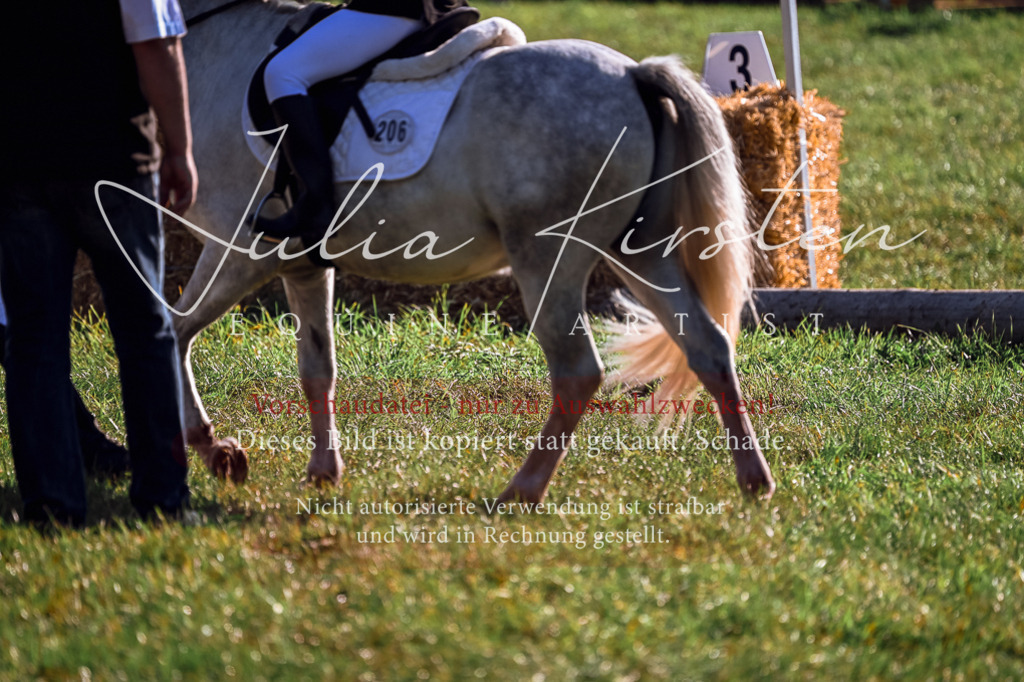 DSC_0402 | Pferde- und Turnierfotografie in Westsachsen. Pferdeportraits, Auftragszeichnungen und intuitive Kunst.