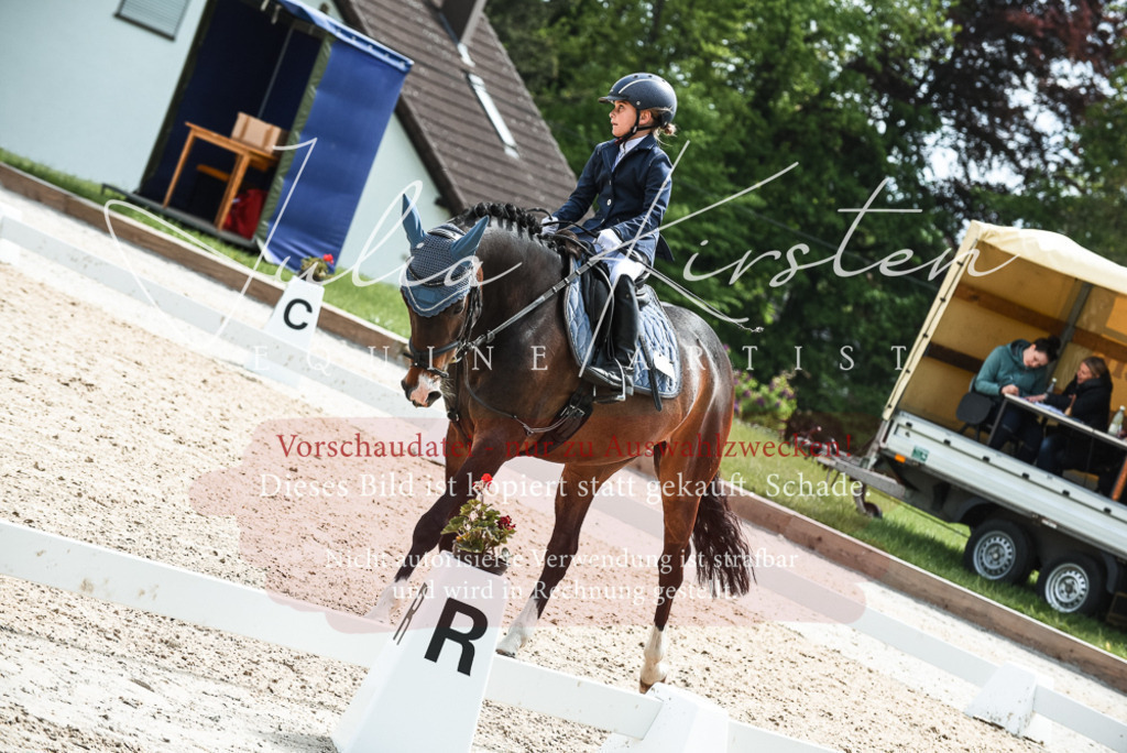20230518_JK-Röhrsdorf-11-0259 | Pferde- und Turnierfotografie in Westsachsen. Pferdeportraits, Auftragszeichnungen und intuitive Kunst.