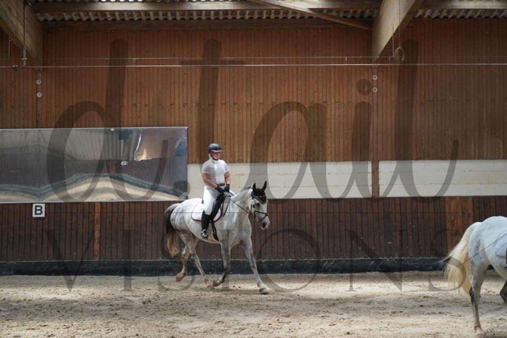 beckingen (927) | d.tail Visions - Shop - Realisiert mit Pictrs.com