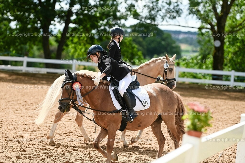 20230716_10-3_Reiter-WB Schritt - Trab - Galopp_0274 | equistock