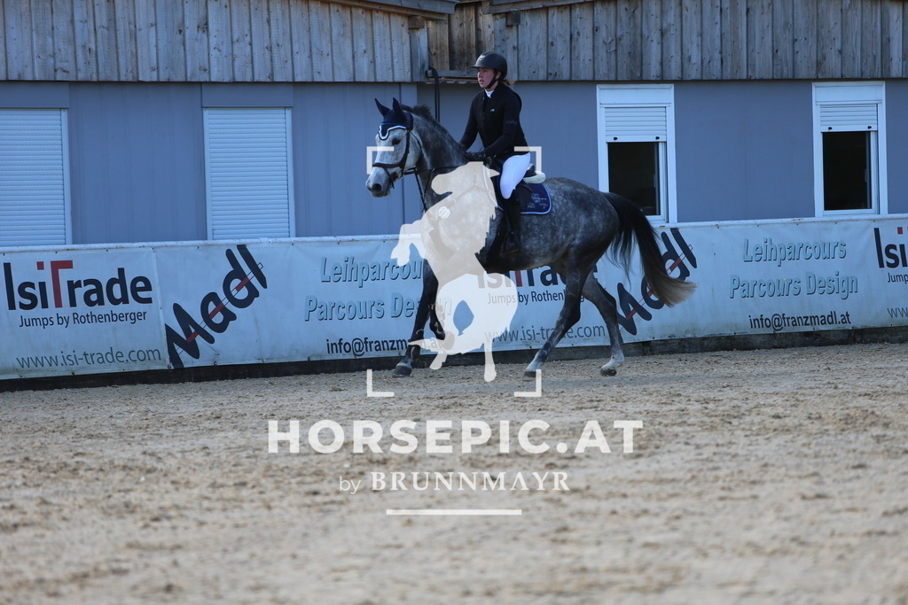 DL2Q7902 | Willkommen bei Brunnmayr - Design & Fotografie – Ihrem Spezialisten für Reitturniere und Pferdeveranstaltungen in Oberösterreich, Salzburg und Bayern! Seit über 17 Jahren sind wir leidenschaftlich dabei.