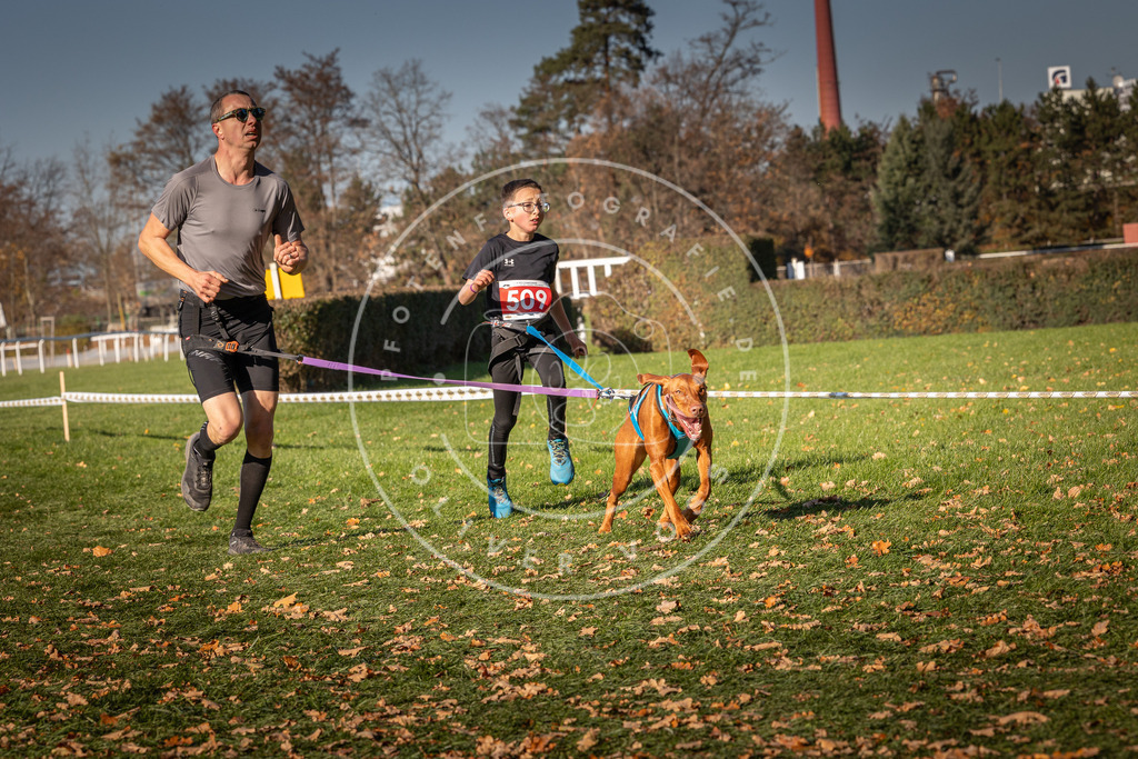 CaniXpix_0L8A6809 | Hundefotografie, Tierfotograf, Pfotenfotografie, Fotoshooting Hund, Hunde Portrait, Hundesport, Hundeportraits, Heideshooting, Hunde, Sportfotograf, Hundefotograf, Turnierhundsport, THS,  - Realisiert mit Pictrs.com