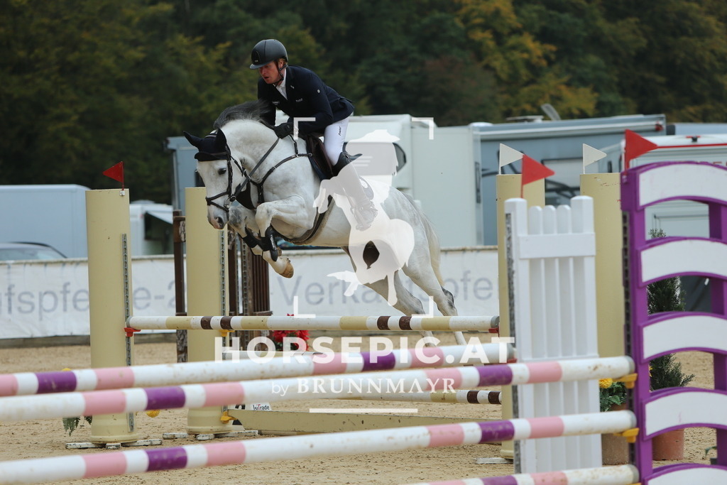 DL2Q4388 | Willkommen bei Brunnmayr - Design & Fotografie – Ihrem Spezialisten für Reitturniere und Pferdeveranstaltungen in Oberösterreich, Salzburg und Bayern! Seit über 17 Jahren sind wir leidenschaftlich dabei.