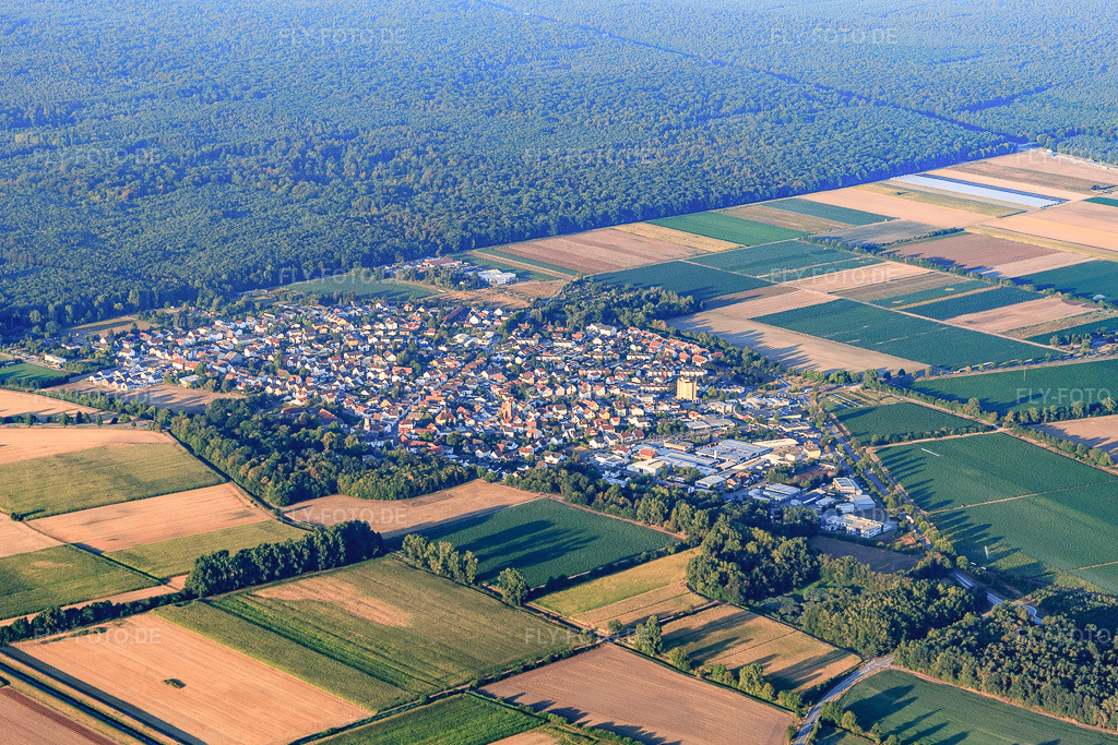 Luftbild: Ortsansicht von Nordosten im Ortsteil Hüttenfeld in Lampertheim im Bundesland Hessen in Deutschland. Foto: IMG_109464.jpg vom 31.07.2018 durch Werner Riehm/FLY-FOTO.de