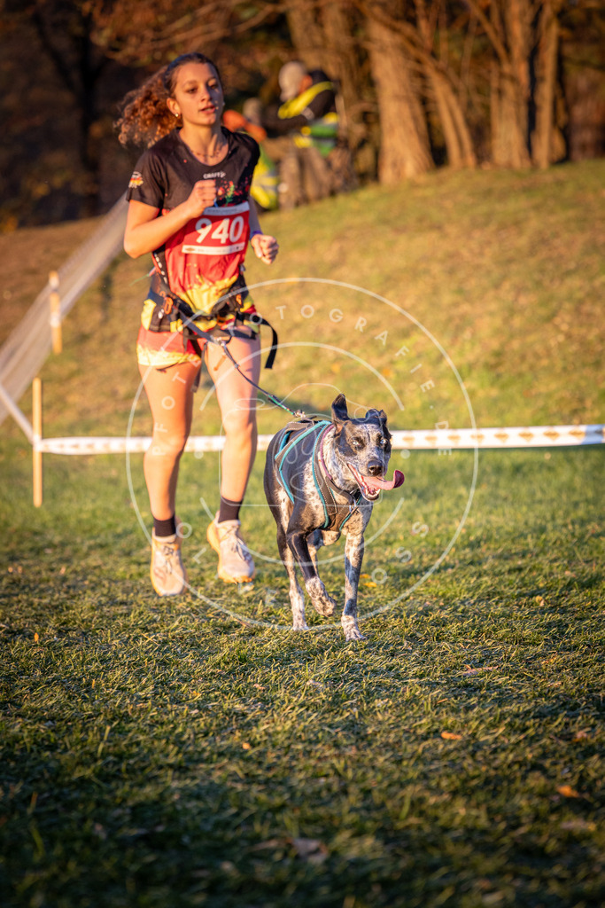 CaniXpix_0L8A1888 | Hundefotografie, Tierfotograf, Pfotenfotografie, Fotoshooting Hund, Hunde Portrait, Hundesport, Hundeportraits, Heideshooting, Hunde, Sportfotograf, Hundefotograf, Turnierhundsport, THS,  - Realisiert mit Pictrs.com