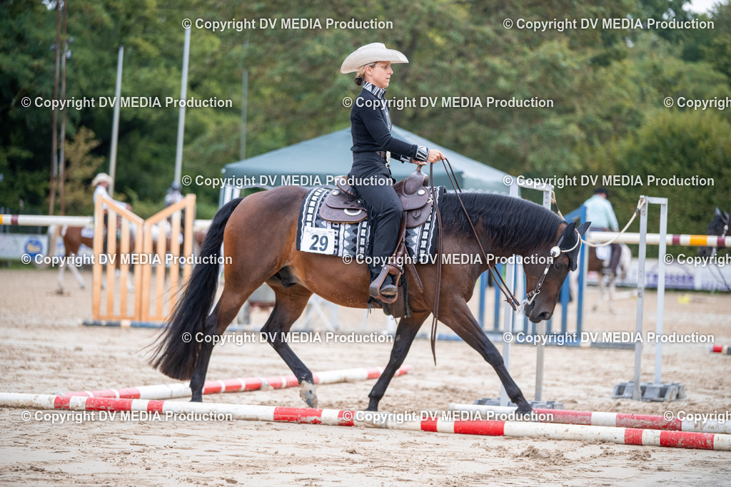 ZS3_4755 | dv-media-shop - Realisiert mit Pictrs.com