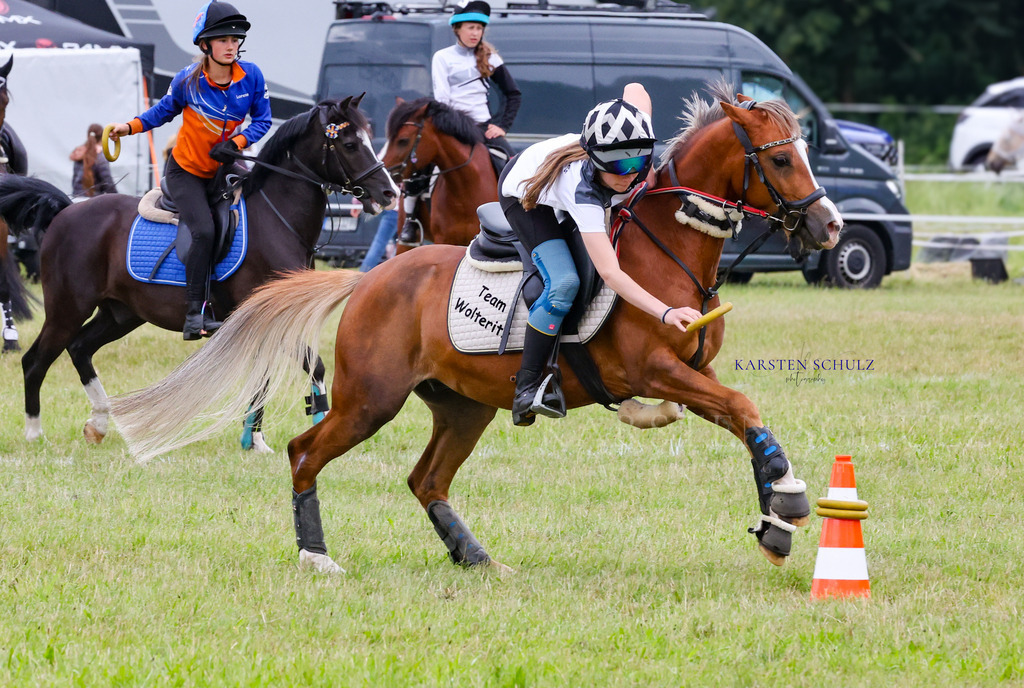 1B3A1482 | Reitsport Reiten