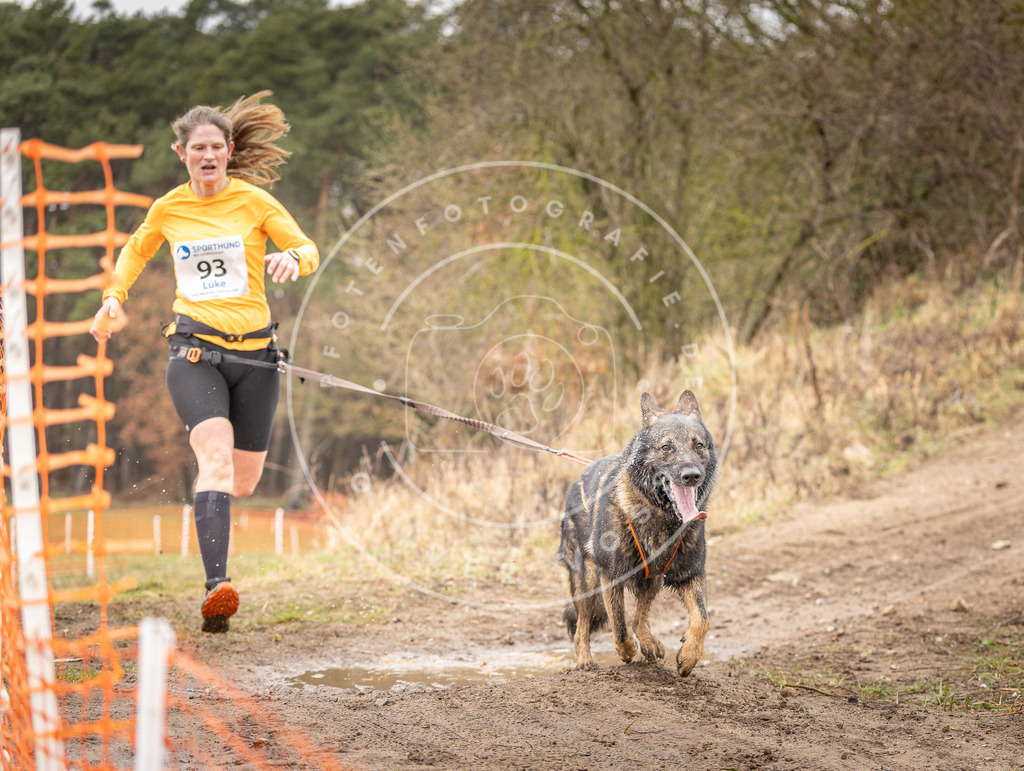 DV3A0471 | Hundefotografie, Tierfotograf, Pfotenfotografie, Fotoshooting Hund, Hunde Portrait, Hundesport, Hundeportraits, Heideshooting, Hunde, Sportfotograf, Hundefotograf, Turnierhundsport, THS,  - Realisiert mit Pictrs.com