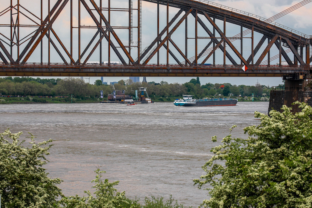 U17_AufdemRhein_120523_09 | Bildergalerie von Sport-Ereignissen aber auch von weiteren spannenden Dingen - nicht nur vom Niederrhein. In Anlehnung an den bekannten Spruch von Hanns Dieter Hüsch heißt das Motto: "Niederrhein ist überall".  - Realisiert mit Pictrs.com