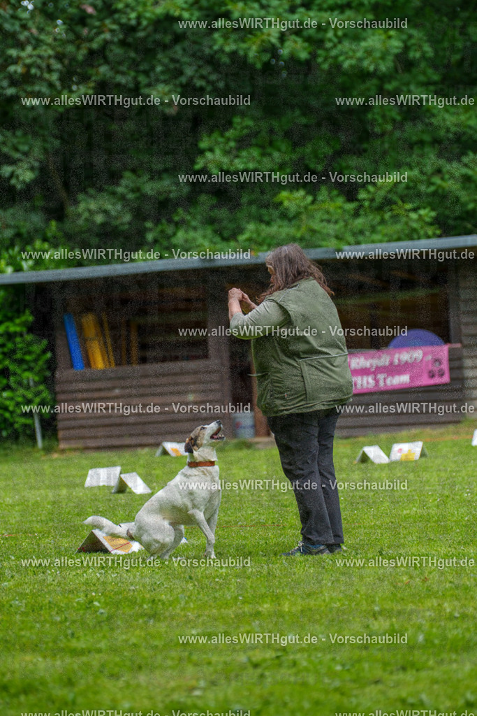 @allesWIRTHgut_Tierfotografie - www.allesWIRTHgut.de - 7R504304 | Professionelle Tierfotografie in Mönchengladbach von Daniel Wirth (allesWIRTHgut). Liebevolle & natürliche Bilder von Hunden & Katzen für unvergessliche Erinnerungen.