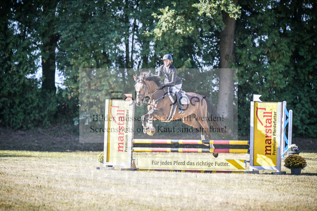 DOS_0068 | Entdecke hochwertige Reitturnierfotos von Foto Oger. Professionell, emotional und authentisch – jetzt Lieblingsmomente im Shop bestellen.Deutschlandweite Turnierfotografie. - Realisiert mit Pictrs.com